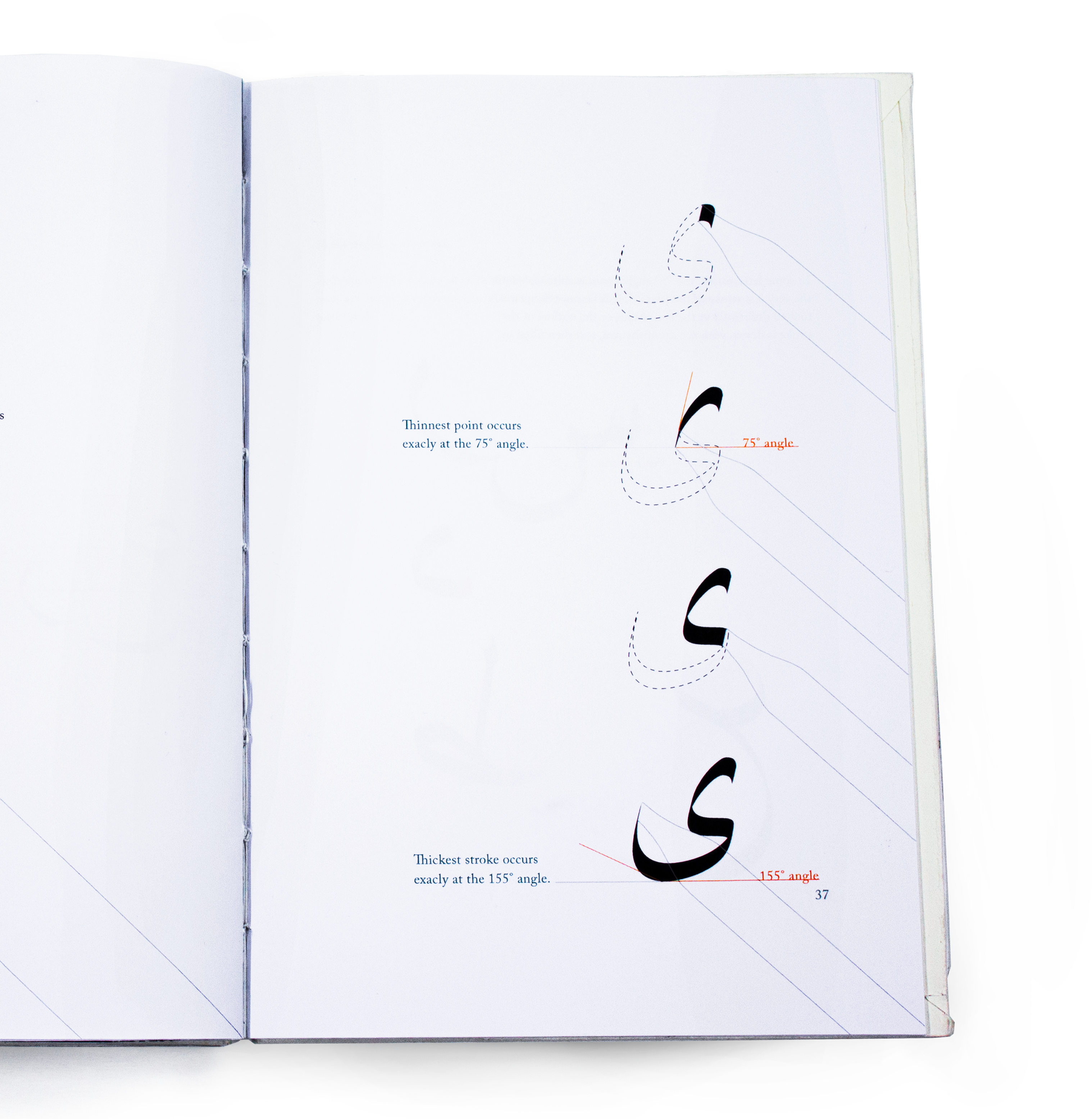 The influence of the calligrapher's
quill on the letterforms